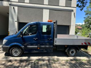 Διπλοκάμπινο Mercedes-Benz 2013 Sprinter 319 CDI EURO 6-thumb-1