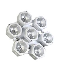 Citronic CosmoPAR-LE Προβολέας PAR με 7x40W COB LED RGBW (Limited Edition)