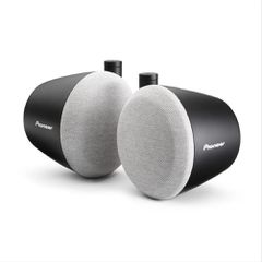 PIONEER TS-STX080 Speakers designed to work with Car Audio or Display Audio