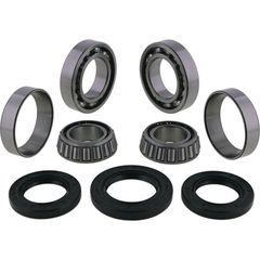All Balls Front Differential Bearing & Seal Kit