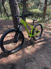 Downhill - Enduro - Trail 2026 Devron zerga 27.5