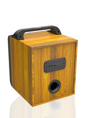 Φορητό ηχείο subwoofer με μικρόφωνο Karaoke - ZQS6155 - 160125 - Brown