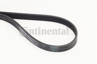 Ιμάντας poly-V CONTINENTAL CTAM 6PK1173