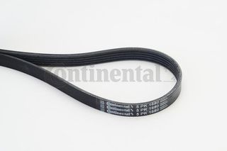 Ιμάντας poly-V CONTINENTAL CTAM 5PK1680