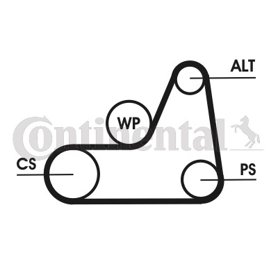 Ιμάντας poly-V CONTINENTAL CTAM 6PK1042ELAST