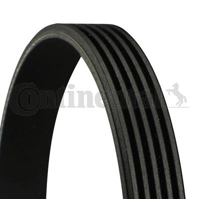 Ιμάντας poly-V CONTINENTAL CTAM 5PK1060