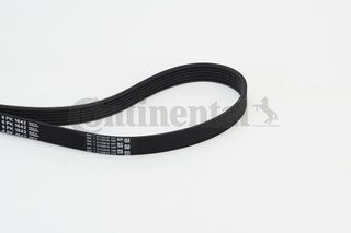 Ιμάντας poly-V CONTINENTAL CTAM 6PK1642