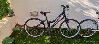All - Mountain Alpina 2020 Alpha