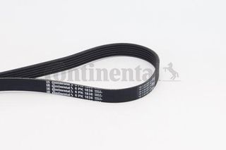 Ιμάντας poly-V CONTINENTAL CTAM 6PK1836