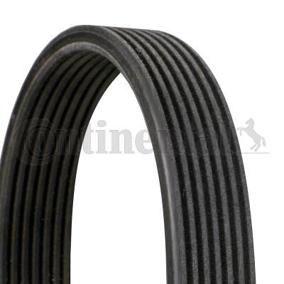 Ιμάντας poly-V CONTINENTAL CTAM 7DPK2074