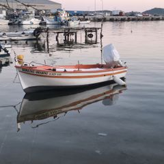 Βάρκα - Λεμβολόγιο 2001