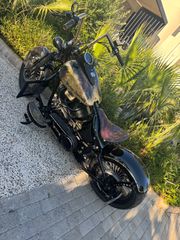 Harley Davidson Custom Bike 2009