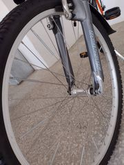 All - Mountain Mongoose 2010-thumb-11