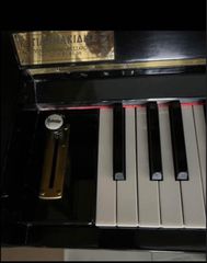 Κλασικό Πιάνο, PETROF-thumb-3