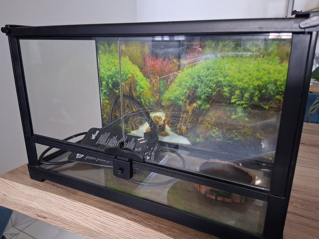 Terrarium με εξοπλισμό