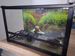 Terrarium με εξοπλισμό