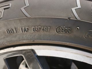 ζαντολαστιχα 20αρια 114,3 καρε-thumb-3