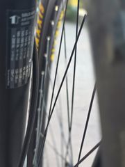 All - Mountain Ghost 2019 LECTOR 3-thumb-40