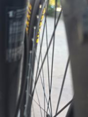 All - Mountain Ghost 2019 LECTOR 3-thumb-43
