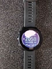 Garmin Forerunner 245 (Γκρι) + Αυθεντικός Φορτιστής