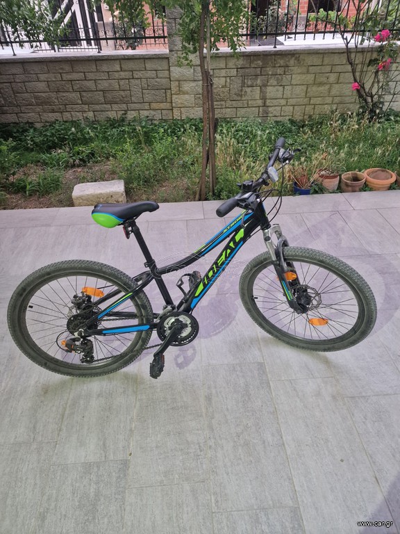 All - Mountain Ideal 2022 Strobe 24 Disc