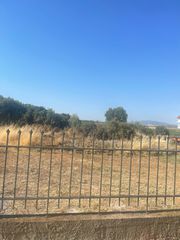 Κάγκελα περίφραξης σιδήρου-thumb-1