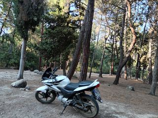 Honda CBF 125 2010 CB125F