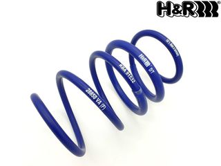 H&R 28858 (3cm)