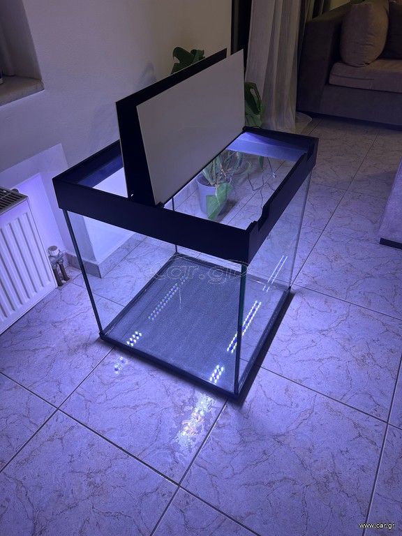 aquarium- Ενυδρείο