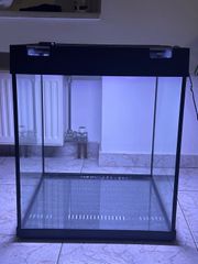 aquarium- Ενυδρείο-thumb-2