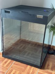 aquarium- Ενυδρείο-thumb-3