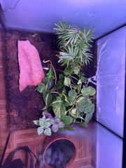 aquarium- Ενυδρείο-thumb-4
