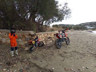 KTM 50 SX 2003