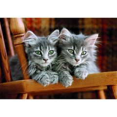 High Quality Kittens puzzle 500pcs-thumb-2