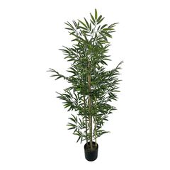 Διακοσμητικό φυτό Bamboo σε γλάστρα Inart πράσινο pp Υ150εκ
