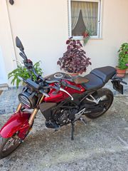 Honda CB 300 2024-thumb-3