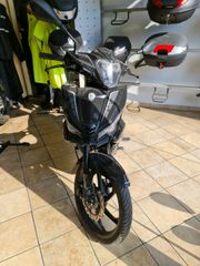 Benelli RCX 185 2024-thumb-2