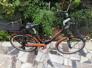 Πόλης Lombardo 2022