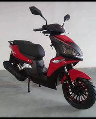 TCB Shark 50 2023