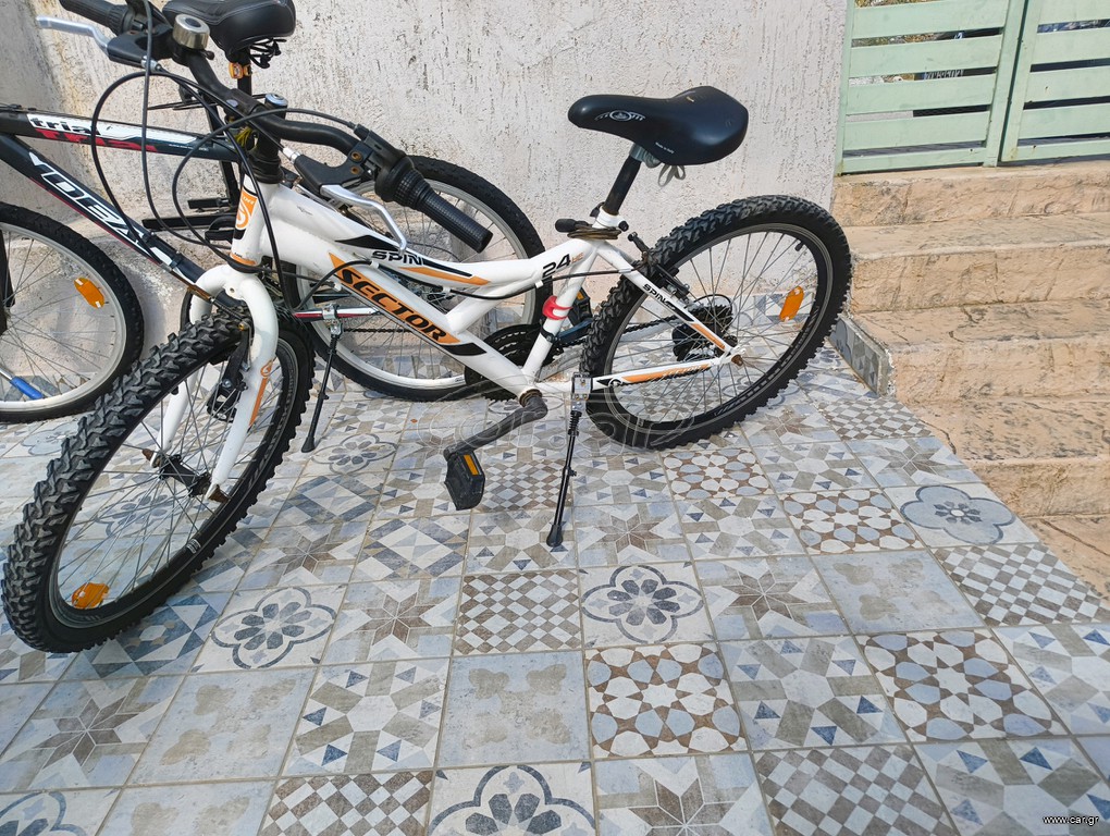 All - Mountain Sector 2020