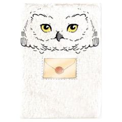 Harry Potter Hedwig A5 notebook + pen-thumb-1