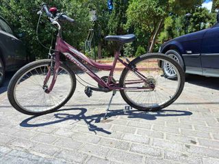 All - Mountain Orient 2022 RUNNER MTB 24''