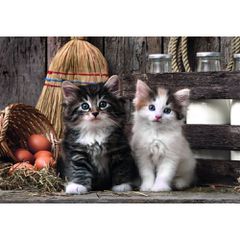 High Quality Lovely Kittens puzzle 1000pcs-thumb-1