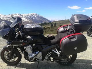 Suzuki GSF 650 S Bandit 2008