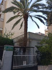 ΦΟΙΝΙΚΑΣ 8-10 Μ ΣΕ ΠΟΛΥ ΚΑΛΗ ΚΑΤΑΣΤΑΣΗ ,(ΧΑΜΗΛΗ ΤΙΜΗ)