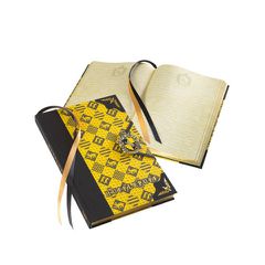 HARRY POTTER - Diary- Hufflepuff-thumb-1
