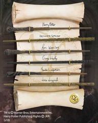 HARRY POTTER - Dumbledore's Army Wand Collection