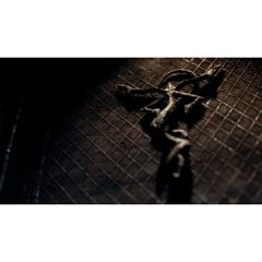 Resident Evil 4 (Remake) / Xbox Series X-thumb-3