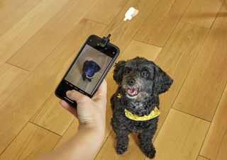 Dog Treat Selfie Clip (DIG01) / Gadgets