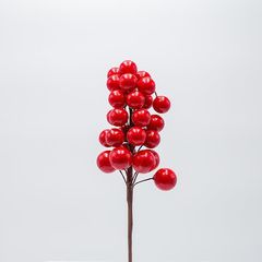 ΠΙΚΑΚΙ ΜΕ ΚΟΚΚΙΝΑ BERRIES, 28cm